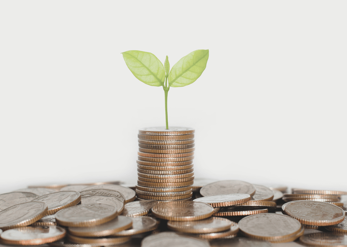 Our Careers Join Wolf Greenfield